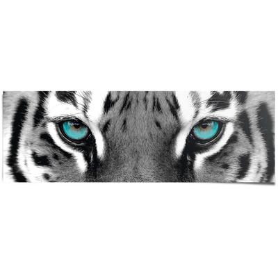 Poster REINDERS "Sibirischer Tiger", schwarz (farbe bild(er): schwarz, weiß), B:158cm H:53cm T:0,1cm, Papier, Bilder, Poster
