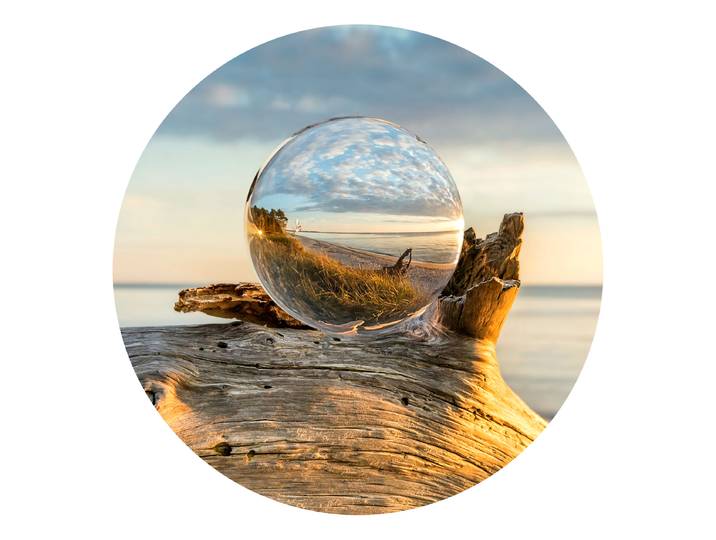 Tableau verre Drop On Wood rond Verre flotté Bois/Beige/Gris Ø 50cm