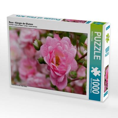 CALVENDO Puzzle Rose - Königin der Blumen | 1000 Teile Lege-Größe 64x48cm Foto-Puzzle für glückliche Stunden