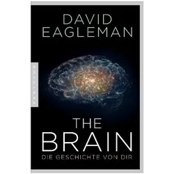 The Brain, Sachbücher von David Eagleman