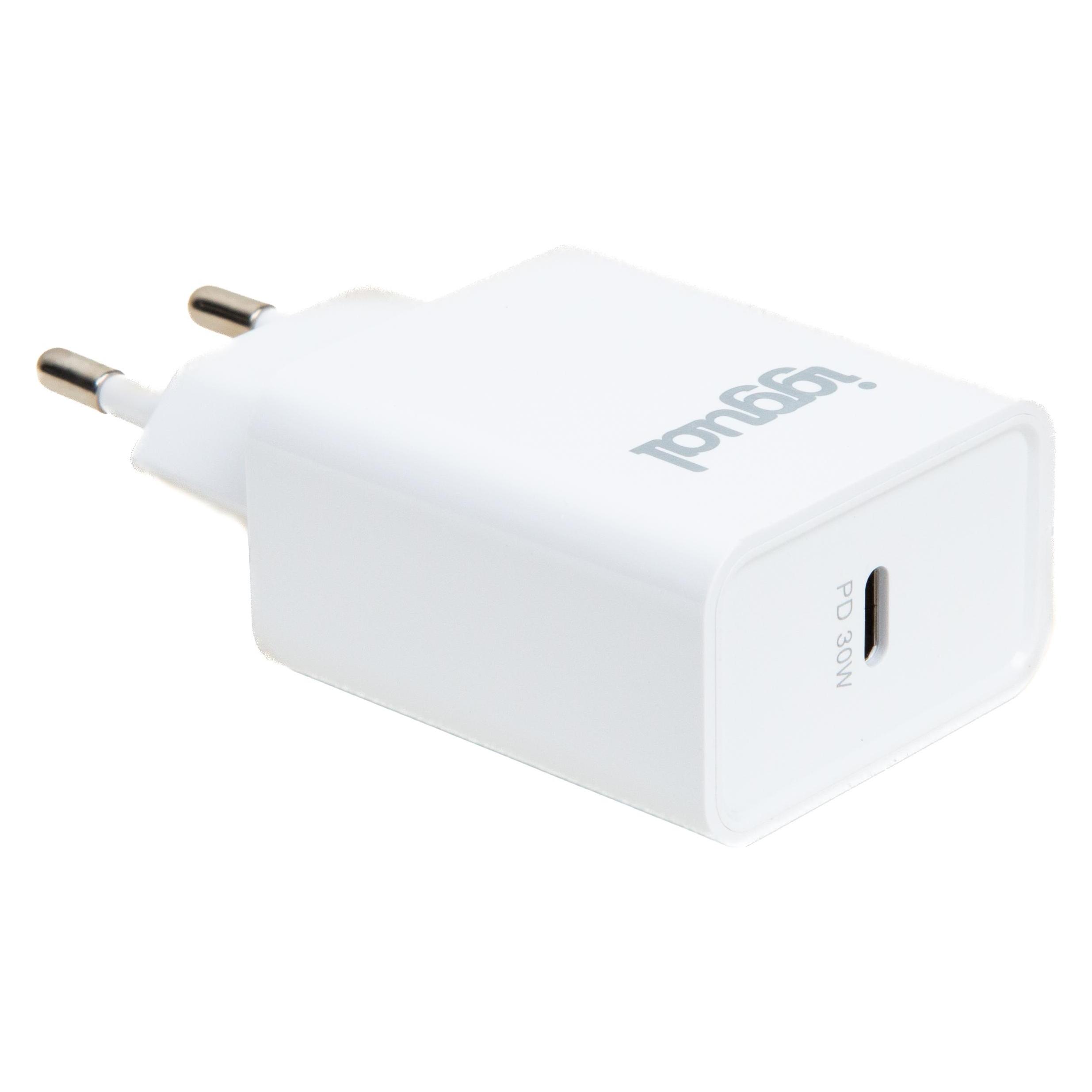 Iggual Wandladegerät IGG318317 30 W (30 W, 1 Port) (IGG318317)