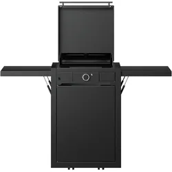 Plancha-Set mit Planchawagen 45 Elektro