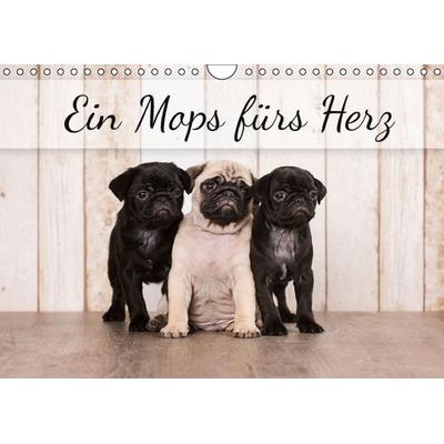 Ein Mops fürs Herz (Wandkalender immerwährend DIN A4 quer)