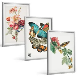 BILDER SET 3er Set - 40x60 cm Silberner Rahmen - Blumen, Schmetterlinge, Vögel, Pastellfarben