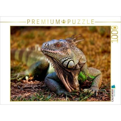 CALVENDO Puzzle Wunderschöner Leguan | 1000 Teile Lege-Größe 64x48cm Foto-Puzzle für glückliche Stunden, Sonstige von , Calvendo Puzzle