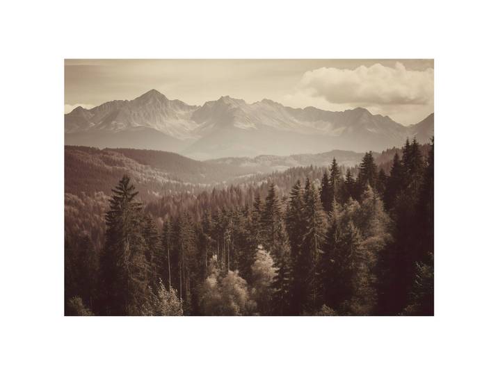 FOTOTAPETE Wald Natur Braun 200x140 cm