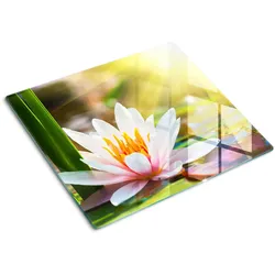 GLASPLATTE 60x52 cm Seerose