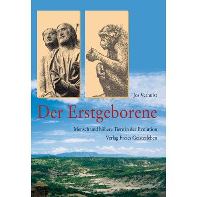 Der Erstgeborene, Taschenbuch von Jos Verhulst, Freies Geistesleben, 978-3-7725-1557-6
