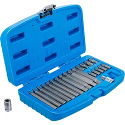 BGS Bit-Satz Antrieb Außensechskant 10 mm (3/8") Keil-Profil (für Ribe) 22tlg. - 5013
