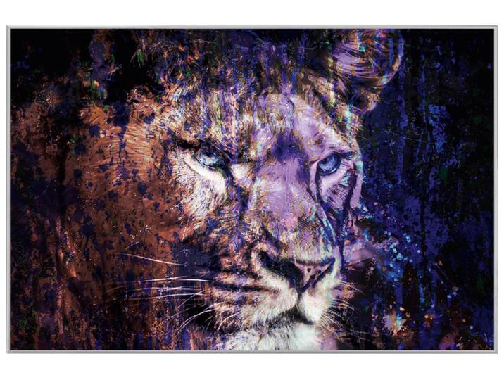 Bild mit Rahmen Löwe in Blau image LAND