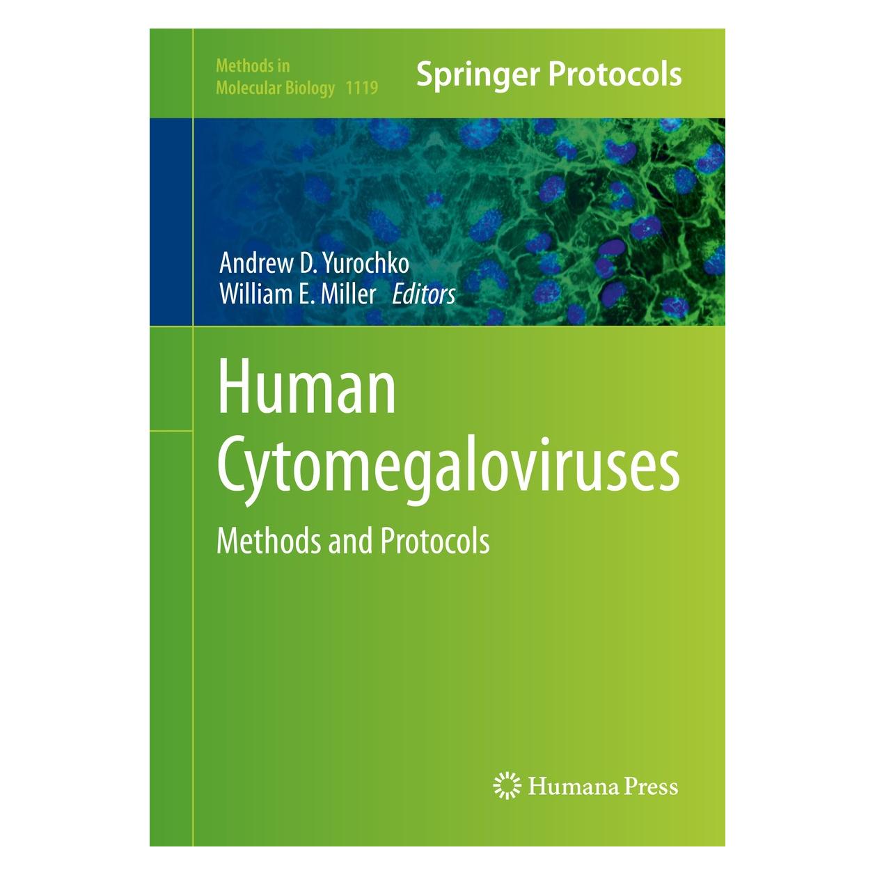 Humana Press Human Cytomegaloviruses (Englisch, Hardcover, Andrew D. Yurochko, William E. Miller) (9781627037877)