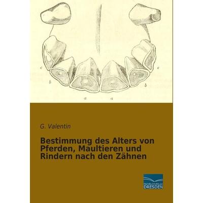 Bestimmung des Alters von Pferden, Maultieren und Rindern nach den Zähnen, Taschenbuch von G. Valentin, Fachbuchverlag Dresden, 978-3-95692-470-5