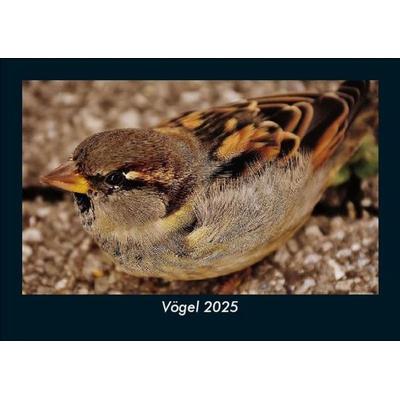Vögel 2025 Fotokalender DIN A5