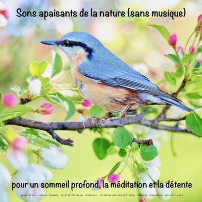 Sons apaisants de la nature (sans musique) pour un sommeil profond, la méditation et la détente - Yella A. Deeken, Audio, 4057664514714
