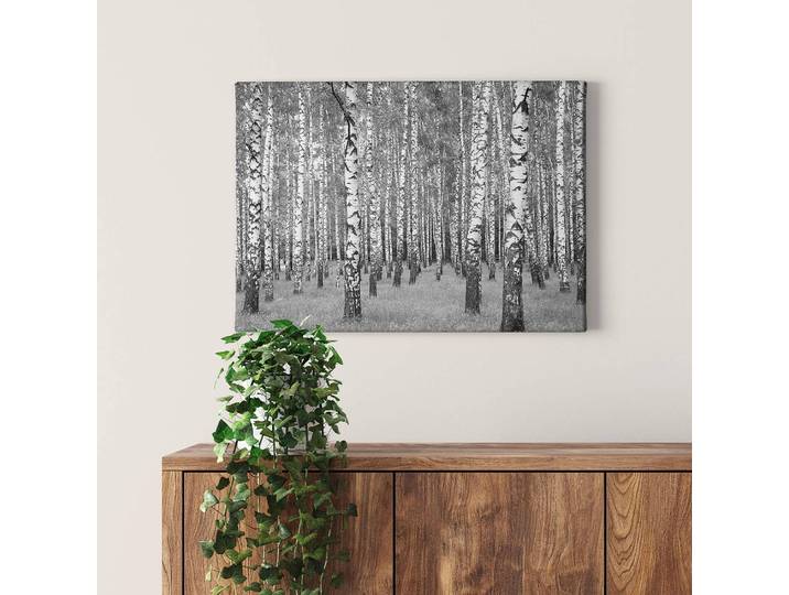 Wandbild Birch Forest Polyester PVC / Fichtenholz Weiß 70 x 50cm