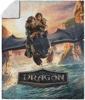 Universal How to Train Your Dragon Silk Touch Sherpa Throw Blanket 50x60 inches by THE NORTHWEST GROUP in How To Train Your (Size OS)
