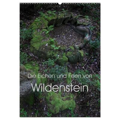 Die Eichen und Feen von Wildenstein (Wandkalender 2027 DIN A2 hoch), CALVENDO Monatskalender