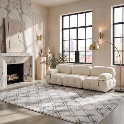 SAFAVIEH Adirondack Leila Vintage Boho Oriental Rug