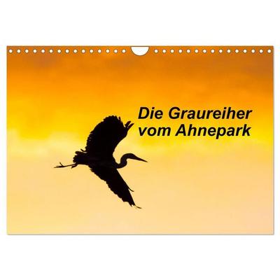 Die Graureiher vom Ahnepark (Wandkalender 2027 DIN A4 quer), CALVENDO Monatskalender