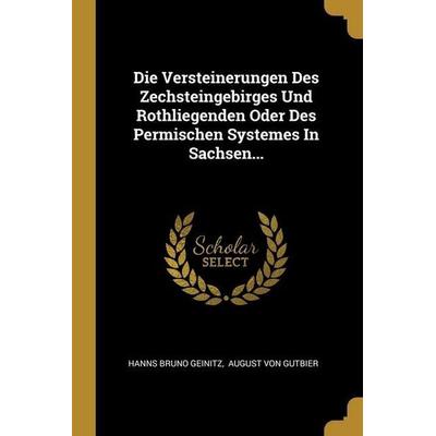 Die Versteinerungen Des Zechsteingebirges Und Rothliegenden Oder Des Permischen Systemes In Sachsen..., Taschenbuch von Hanns Bruno Geinitz, Creative