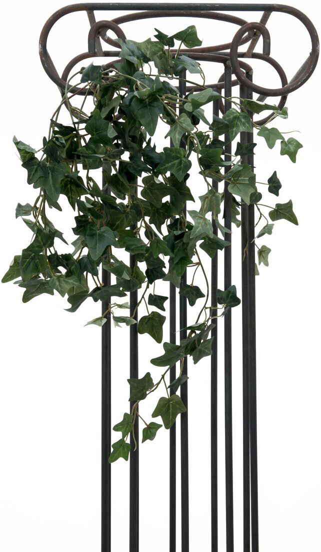Europalms Efeubuschranke Classic, 60cm