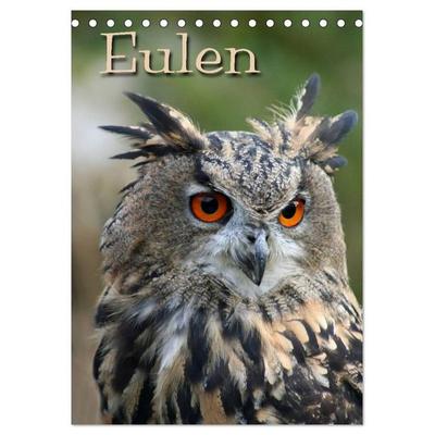 Eulen (Tischkalender 2026 DIN A5 hoch), CALVENDO Monatskalender