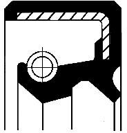 Corteco Dichtring 12000534b