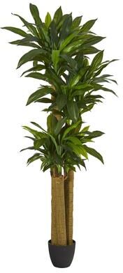 Nearly Natural 6' Corn Stalk Dracaena Artificial Plant (Real Touch)