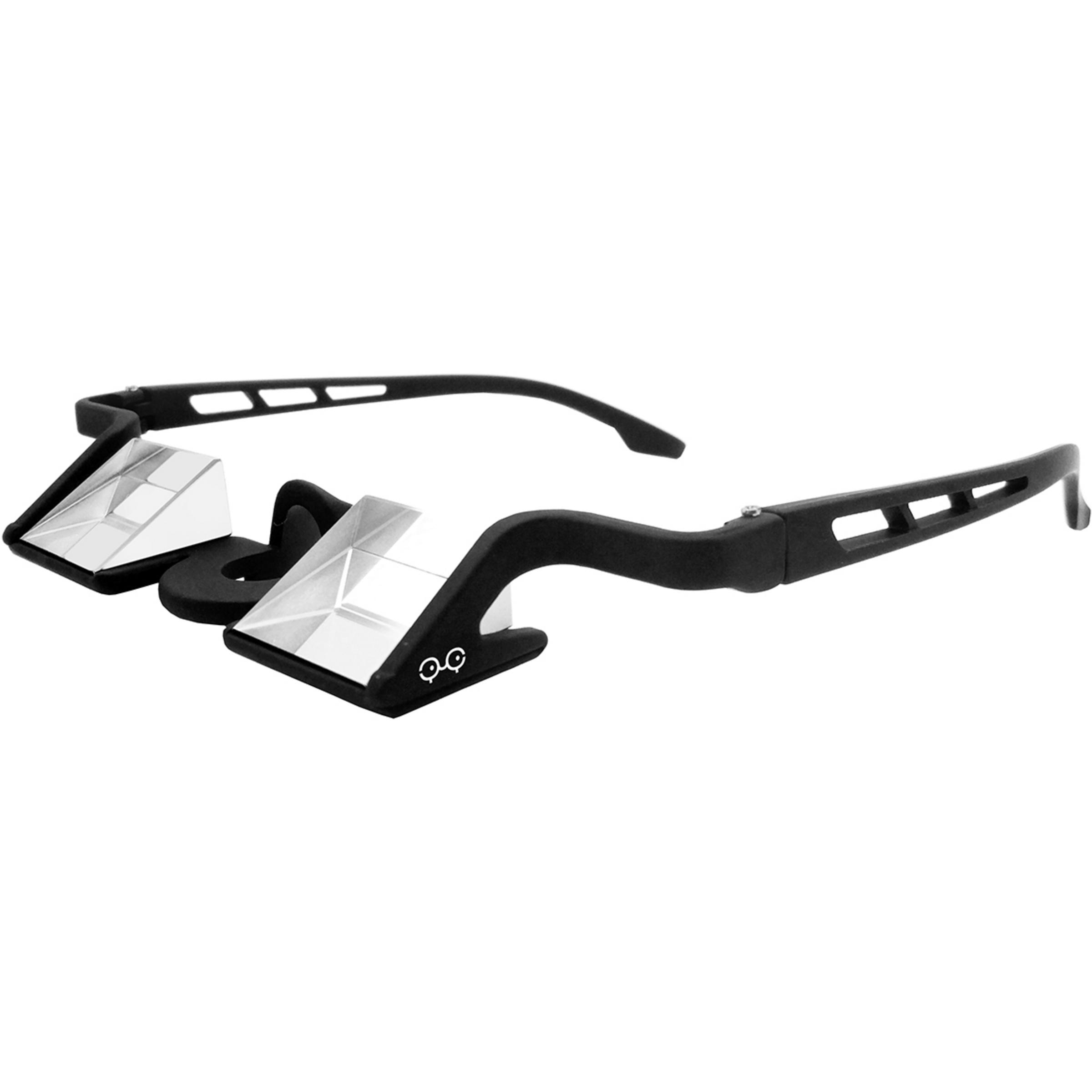 YY Vertical YY Plasfun Evo Sicherungsbrille Sicherungsbrillen schwarz Sportklettern