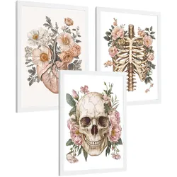 POSTER Set aus 3 Anatomie Mensch Florale Drucke und Wandbilder mit Herz Schädel und Brustkorb Weicher Vintage Stil Größe Weißer Rahmen A3