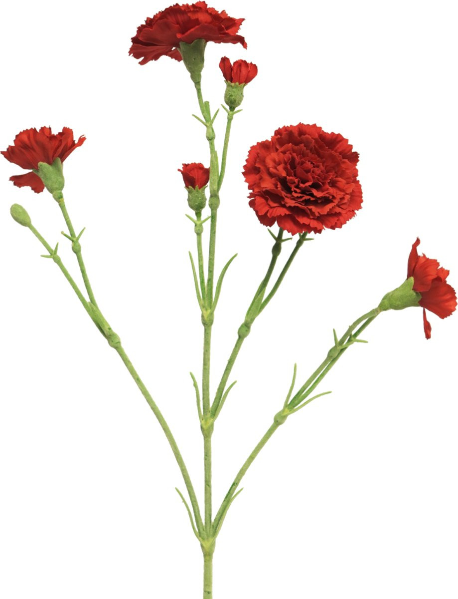 Erutan Avon Dianthus Charly kunstbloem rood 62 cm