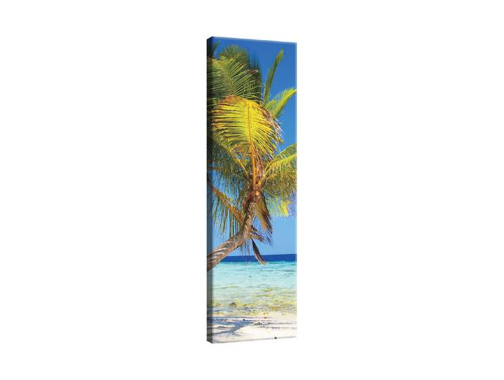 Wandbild 30x97 Palm Beach