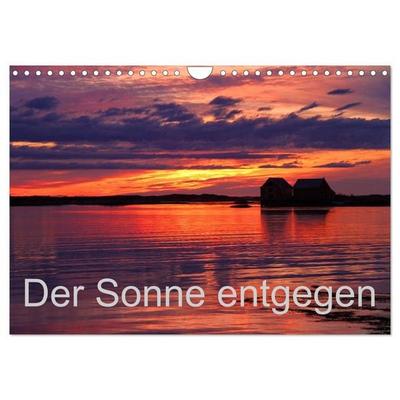Der Sonne entgegen (Wandkalender 2026 DIN A4 quer), CALVENDO Monatskalender