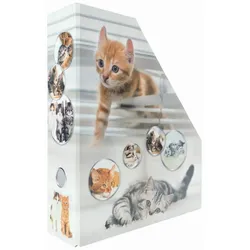 HERMA Stehsammler Karton Katzen , DIN A4