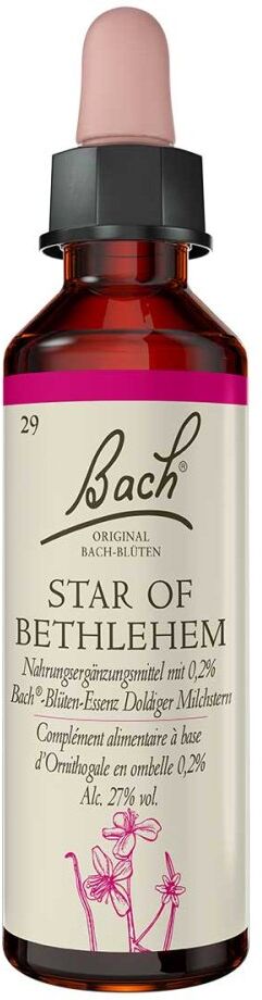 Bachblüten Star of Bethlehem Tropfen