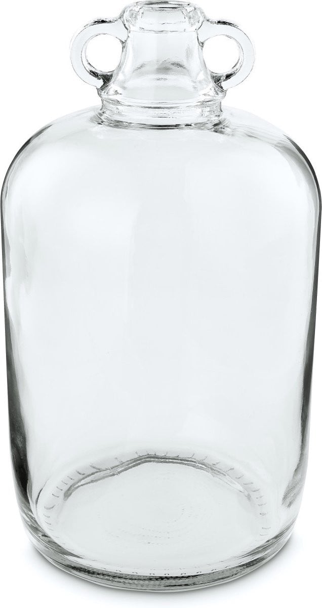 vtwonen Vaas Double Ear Glas
