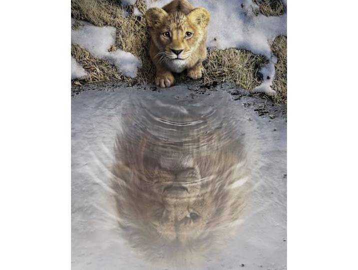 Komar Wandbild- Disney Mufasa The Lion King - Größe 40 x 50 cm - Poster, Kinderzimmer, Dekoration - gerollt ohne Rahmen, Blau,Braun
