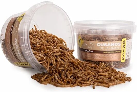 Orycs Snack Vermes de Farinha 75g