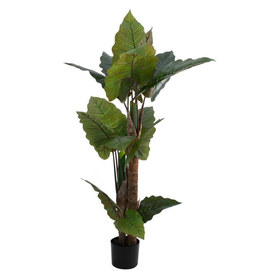 Europalms Pfeilblatt - Alocasia, Kunstpflanze, 140cm (140 cm) (82508464)