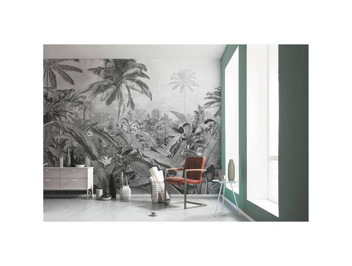 Papier peint intissé Amazonia 400cm
