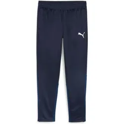 Puma, Unisex, Sporthose, teamGOAL Training Pant (S), Blau