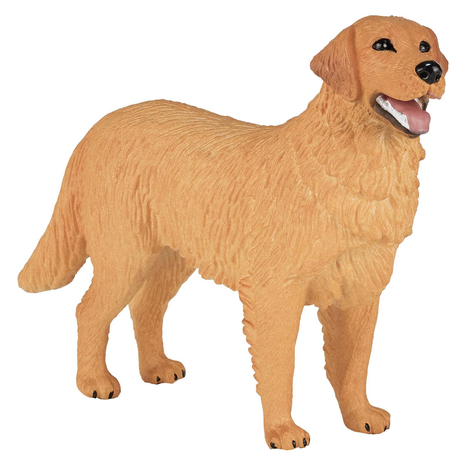 Mojo Golden Retriever (387198)
