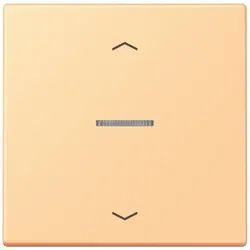 Jung Wippe mit Lichtleiter LC 101 KO5P 258
