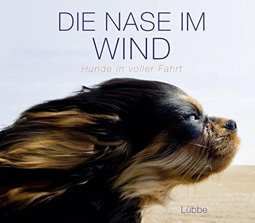 Die Nase im Wind: Hunde in voller Fahrt - Preis vom 11.10.2026 15:43:13 h