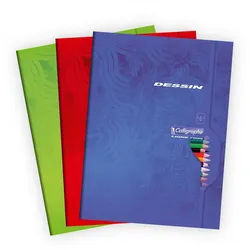 Calligraphe 5x Zeichenheft 48Bl 24x32 blanko w st- Sortiert 7555C