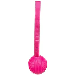Trixie Soft & Strong ball on strap, TPR, 29 cm, pink (Ballspielzeug Hund), Hundespielzeug