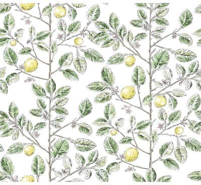 York Wallcoverings Limoncello Toile Green Wallpaper