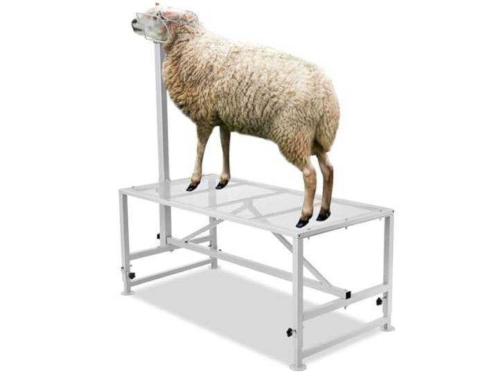 VEVOR Support pour chèvres et moutons\, 1195x584 mm\, support pour bétail\, hauteur réglable 533-838 mm\, support en métal pour traite tonte du bétail\, charge 226 kg\, avec têtière et boucle de nez\, blanc