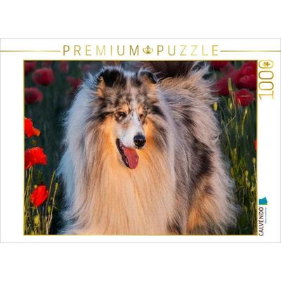 CALVENDO Puzzle Collie - Mein bester Freund | 1000 Teile Lege-Größe 64x48cm Foto-Puzzle für glückliche Stunden