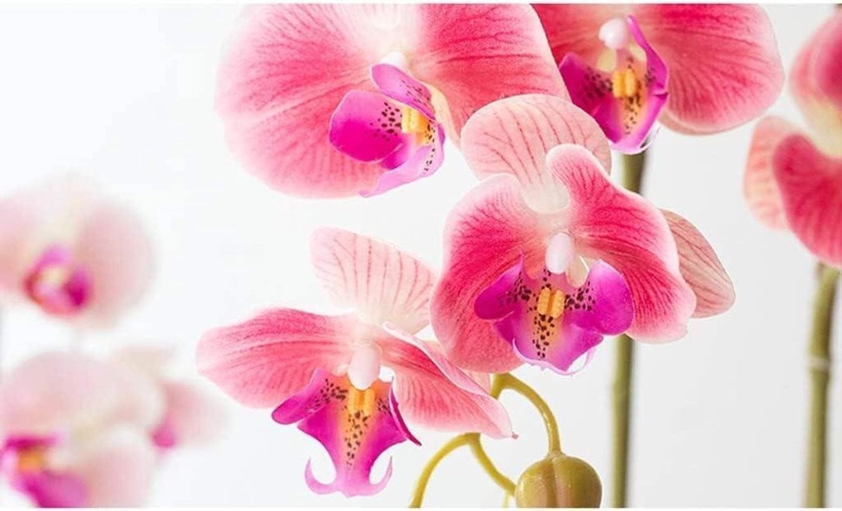 Kunstorchidee Phalaenopsis met pot - Roze - 60 cm
